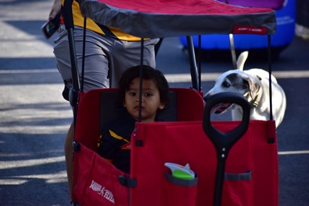 Rotary Run 2025