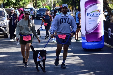 Rotary Run 2025